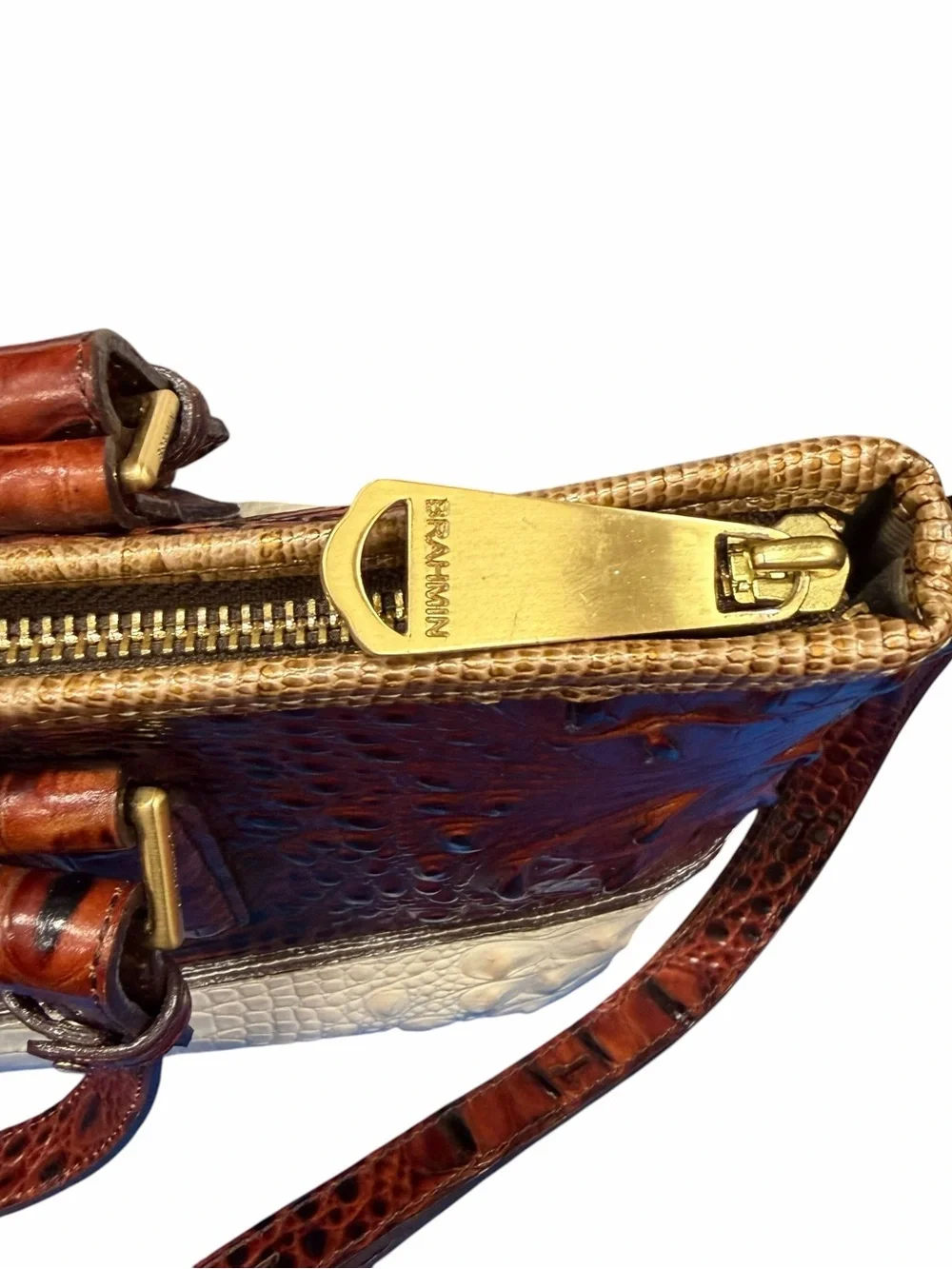 Brahmin structured croc